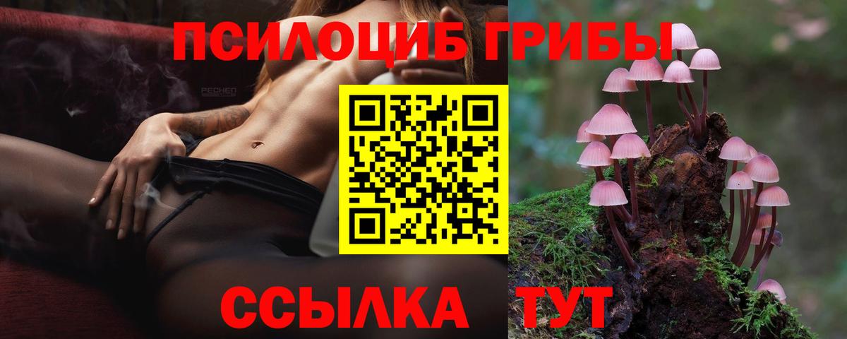 Галлюциногенные грибы Cubensis Мценск